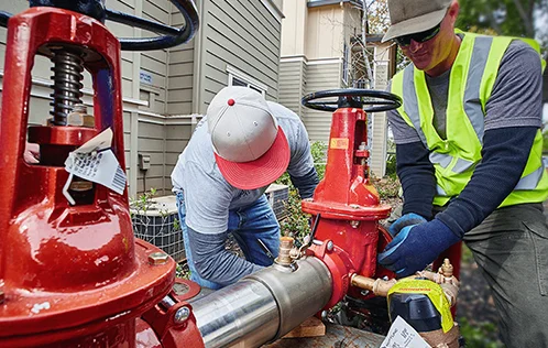 Backflow Testing