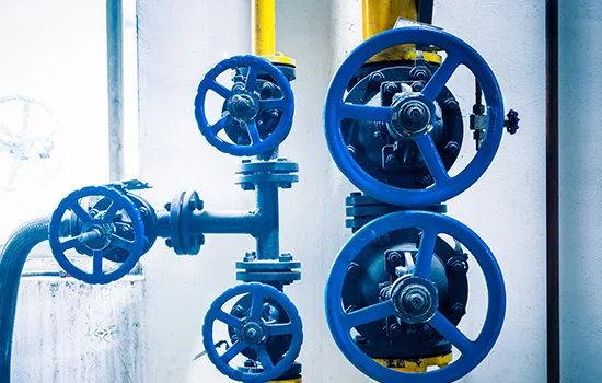 Backflow Prevention Services​